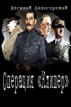 Евгений Белогорский - Операция &quot;Кондор&quot;