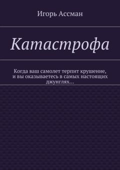 Игорь Ассман - Катастрофа