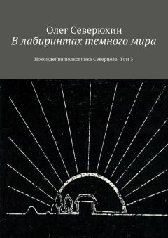 Олег Северюхин - В лабиринтах темного мира. Похождения полковника Северцева. Том 3