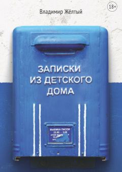 Владимир Жёлтый - Записки из детского дома