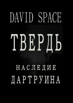 David Space - Твердь. Наследие Дартруина