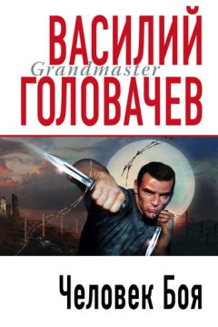 Василий Головачев - Человек боя
