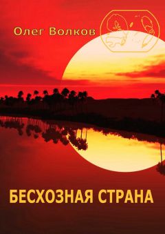 Олег Волков - Бесхозная страна