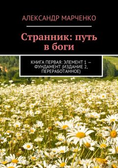 Александр Марченко - Странник: путь в боги. Книга первая: элемент 1 – фундамент (издание 2, переработанное)