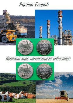 Руслан Егоров - Краткий курс начинающего инвестора