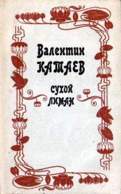 Валентин Катаев - Кубик