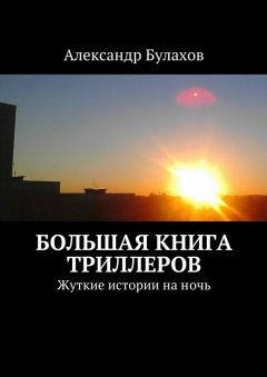 Александр Булахов - Большая книга триллеров. Жуткие истории на ночь