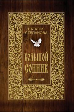 Наталья Степанова - Большой сонник