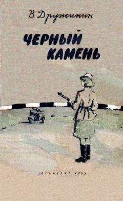 Владимир Дружинин - Черный камень