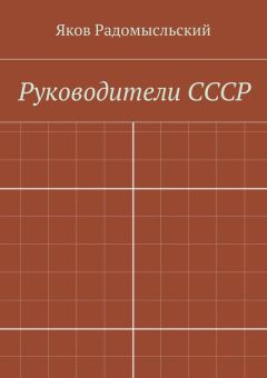 Яков Радомысльский - Государство и власть