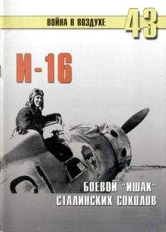 автор - И-16, Боевой &quot;Ишак&quot; сталинских соколов