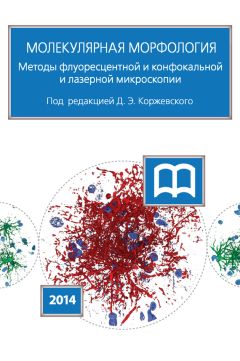 Коллектив авторов - Молекулярная морфология. Методы флуоресцентной и конфокальной лазерной микроскопии