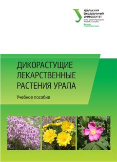 Коллектив авторов - Дикорастущие лекарственные растения Урала
