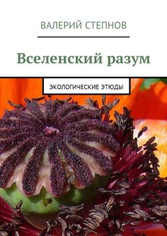 Валерий Степнов - Вселенский разум. Экологические этюды