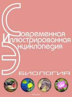 Александр Горкин - Энциклопедия «Биология». Часть 1. А – Л (с иллюстрациями)