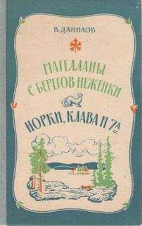 Владимир Данилов - Норки, Клава и 7&quot;А&quot;