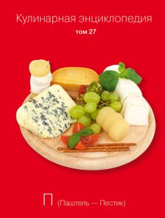 Надежда Бондаренко - Кулинарная энциклопедия. Том 27. П (Паштель – Пестик)