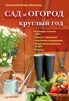 Евгения Валягина-Малютина - Сад и огород круглый год