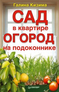 Галина Кизима - Сад в квартире, огород на подоконнике