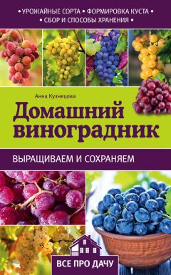 Анна Кузнецова - Домашний виноградник
