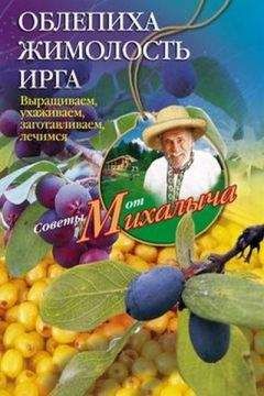 Николай Звонарев - Облепиха, жимолость, ирга. Выращиваем, ухаживаем, заготавливаем, лечимся