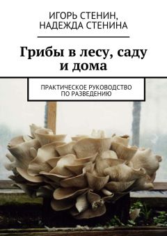 Надежда Стенина - Грибы в лесу, саду и дома