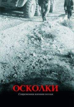 Глеб Бобров - Осколки