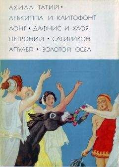 Ахилл Татий - Ахилл Татий &quot;Левкиппа и Клитофонт&quot;. Лонг &quot;Дафнис и Хлоя&quot;. Петроний &quot;Сатирикон&quot;. Апулей &quot;Метамофозы, или Золотой осел&quot;