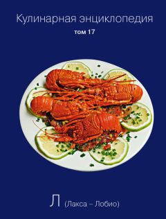 Наталья Шинкарёва - Кулинарная энциклопедия. Том 17. Л (Лакса – Лобио)