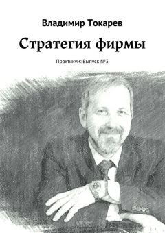 Владимир Токарев - Стратегия фирмы. Практикум: Выпуск №3