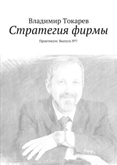 Владимир Токарев - Стратегия фирмы. Практикум: Выпуск №7
