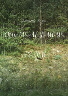 Алексей Янкин - Обмелевшие реки