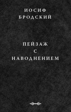 Иосиф Бродский - Пейзаж с наводнением
