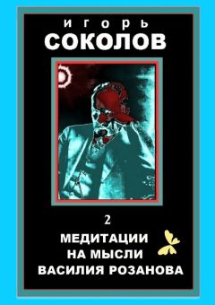 Игорь Соколов - Медитации на мысли Василия Розанова. том 2