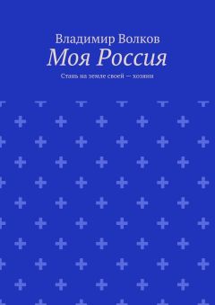 Владимир Волков - Моя Россия. Стань на земле своей – хозяин