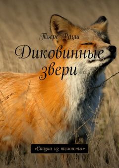 Тьере Рауш - Диковинные звери. «Сказки из темноты»
