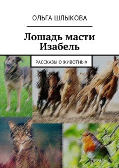 Ольга Шлыкова - Лошадь масти Изабель. Рассказы о животных