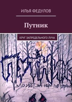 Илья Федулов - Путник. Круг запредельного луча