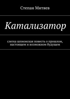 Степан Митяев - Катализатор