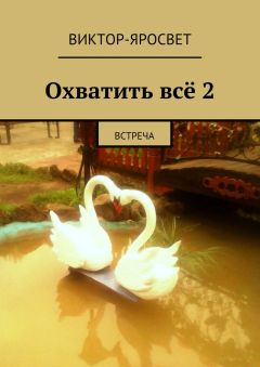 Виктор-Яросвет - Охватить всё 2. Встреча
