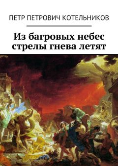 Петр Котельников - Из багровых небес стрелы гнева летят