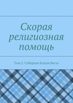 Дамир Садыков - Скорая религиозная помощь. Том 2. Соборная Благая Весть