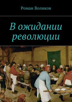 Роман Воликов - В ожидании революции
