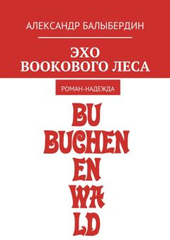 Александр Балыбердин - Эхо Bookового леса. Роман-надежда