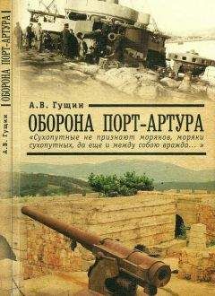 Андрей Гущин - Оборона Порт-Артура: «Сухопутные не признают моряков, моряки сухопутных, да еще и между собою вражда…»