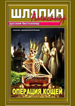 Александр Шляпин - Операция Кощей