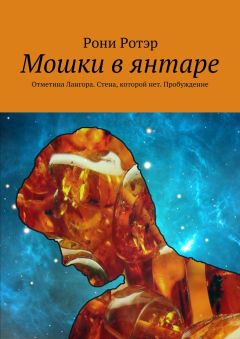 Рони Ротэр - Мошки в янтаре. Отметина Лангора. Стена, которой нет. Пробуждение