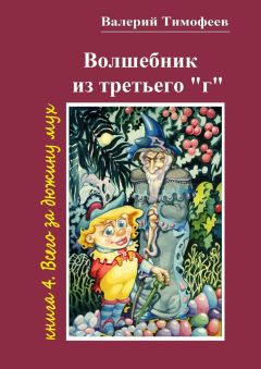 Валерий Тимофеев - Волшебник из третьего «г». Книга 4. Всего за дюжину мух