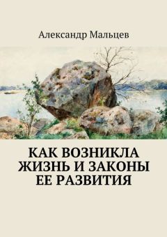Александр Мальцев - Как возникла жизнь и законы ее развития