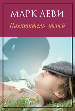 Похититель теней - Леви Марк